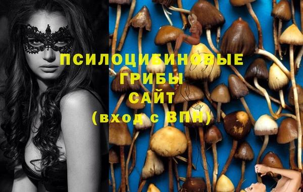 ГАЛЛЮЦИНОГЕННЫЕ ГРИБЫ Армянск