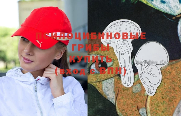 ГАЛЛЮЦИНОГЕННЫЕ ГРИБЫ Армянск