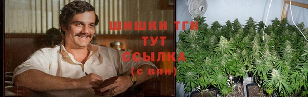 спиды Гусь-Хрустальный
