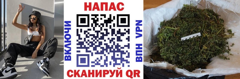 Шишки марихуана план  наркошоп  Лениногорск 